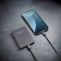 Intenso 7344024, MW5000, Banco de potencia gris