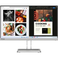 Lenovo L24i-40(F23238FL0), Monitor LED gris