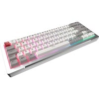 RAIJINTEK 0R40B00276, Teclado para gaming plateado