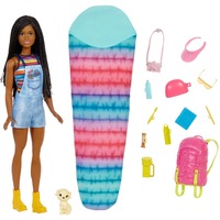 Mattel Dreamhouse Adventures Camping Pop, Muñecos Muñeca fashion, Femenino, 3 año(s), Chica, 298 mm, Multicolor