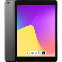 Apple iPad, Tablet PC gris