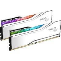 G.Skill F5-8200J4052F24GX2-TR5S, Memoria RAM plateado