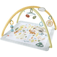 Mattel HRB15, Gimnasio de actividades/Alfombra 