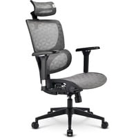 Sharkoon Silla de oficina OfficePal C40M gris