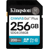 Kingston SDG4/256GB, Tarjeta de memoria negro