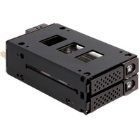 DeLOCK Marco intercambiable Slim Bay para 2 x 2,5″ U.2 NVMe SSD, Caja de unidades 