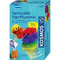 KOSMOS 658267, Caja de experimentos