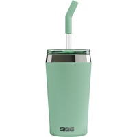 SIGG 6015.10, Termo verde claro