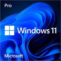Microsoft Windows 11 Pro 1 licencia(s), Software Fabricante de equipos originales (OEM), 1 licencia(s), 64 GB, 4096 GB, 1000 GHz, Alemán