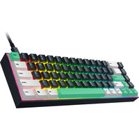 Razer Reclusa X Mini 65, Teclado para gaming negro/Multi color
