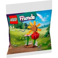 LEGO Friends Jardín de Flores, Juegos de construcción Juego de construcción, 5 año(s), Plástico, 64 pieza(s), 36 g