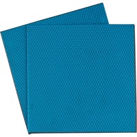 Thermal Grizzly Minus Pad Advance - 100x100x2,0 mm, Almohadillas térmicas 