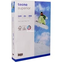Inapa 2100011531, Papel