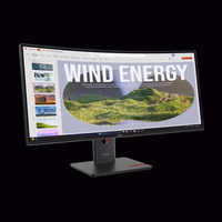 Lenovo T34WD-40(A253403T0), Monitor LED negro