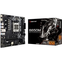Biostar B650MT, Placa base