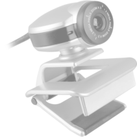 Logitech BRIO 105, Webcam grafito