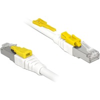DeLOCK 85335 cable de red Blanco 5 m Cat6a S/FTP (S-STP) blanco, 5 m, Cat6a, S/FTP (S-STP), RJ-45, RJ-45