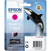 Epson T7603 Magenta vivo, Tinta Tinta a base de pigmentos, 25,9 ml, 1 pieza(s)
