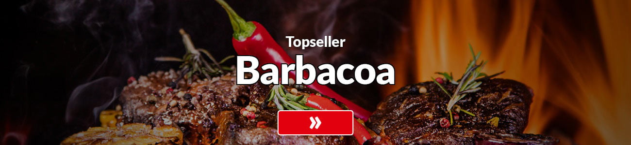Topseller Grill ES
